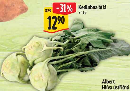 Kedlubna bílá 12 ⁹0 1ks Albert Hlíva ústřičná 