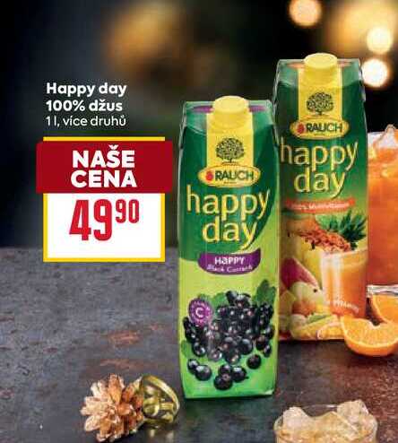 Happy Day 100% džus 1l