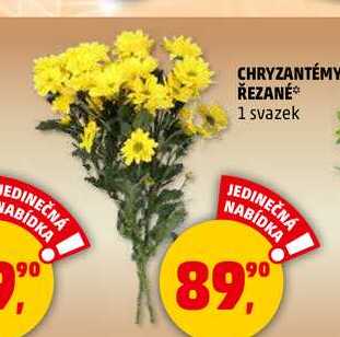 CHRYZANTÉMY ŘEZANÉ, 1 svazek 