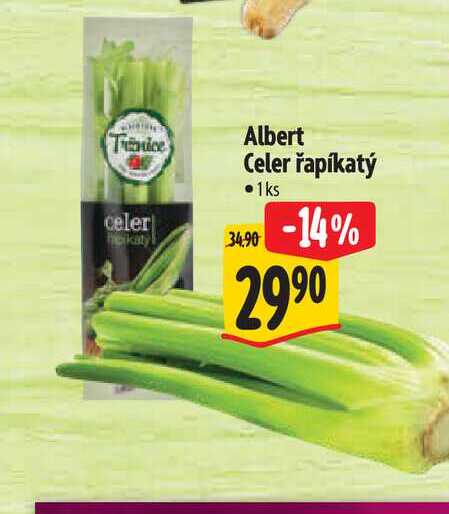  Albert Celer řapíkatý 1ks  