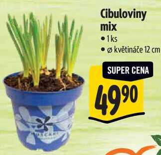 Cibuloviny mix 