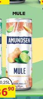 AMUNDSEN MULE 0,25L míchaný drink