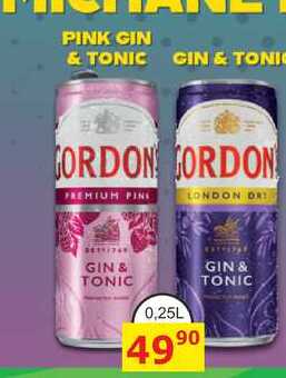 GORDON GIN & TONIC 0,25L míchaný drink