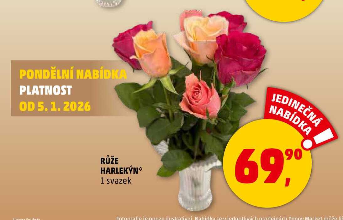 RŮŽE HARLEKÝN, 1 svazek