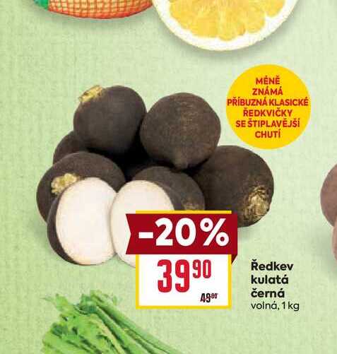 Ředkev kulatá černá volná, 1 kg