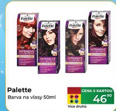 Palette Barva na vlasy 50ml 