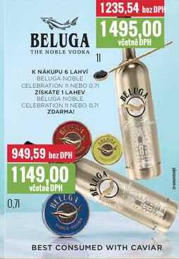 BELUGA 0,7l, 1l