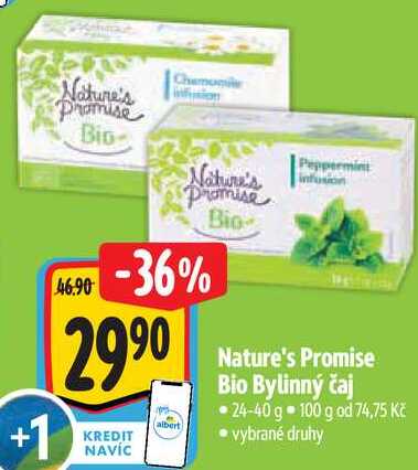 Nature's Promise Bio Bylinný čaj, 24-40 g 