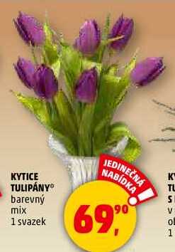KYTICE TULIPÁNY, 1 svazek 