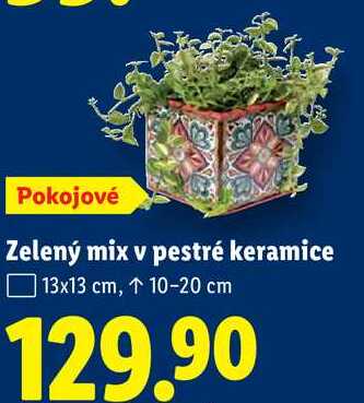 Zelený mix v pestré keramice