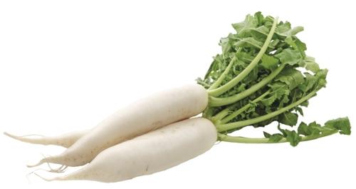 Ředkev bílá, 1 KS