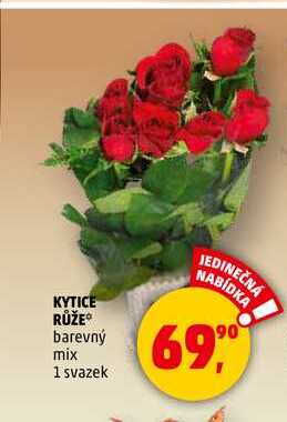 KYTICE RŮŽE, 1 svazek