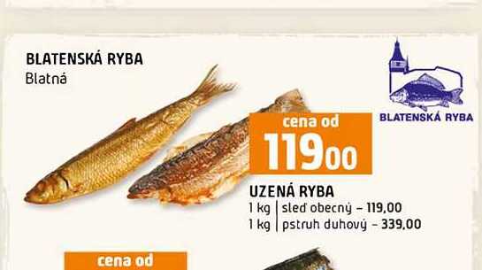 UZENÁ RYBA 1 kg sled obecný 