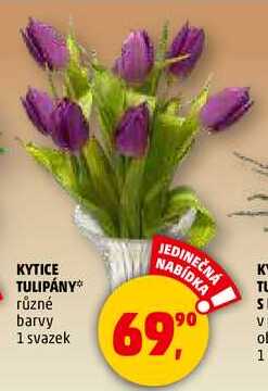 KYTICE TULIPÁNY, 1 svazek 
