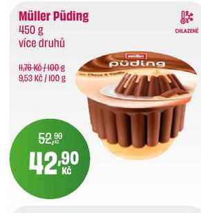 Müller Püding 450 g 