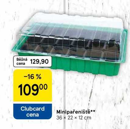 Minipařeniště, 36 x 22 x 12 cm 