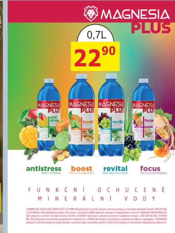 MAGNESIA Plus 0,7L 