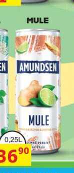 AMUNDSEN MULE míchaný nápoj 0,25l, plech