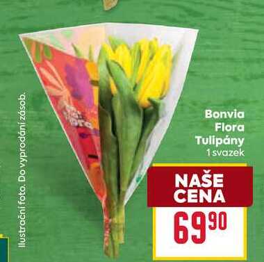 Bonvia Flora Tulipány 1 svazek 