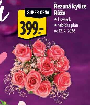 Řezaná kytice Růže