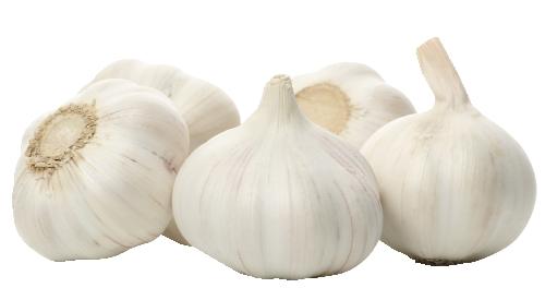 Česnek, 1 kg