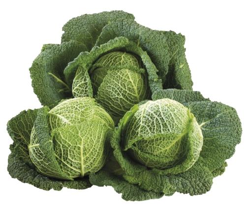 Kapusta hlávková , 1 kg