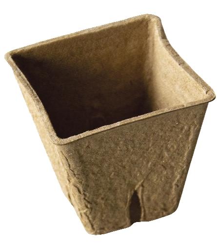 Předpěstovací program, 1 KS