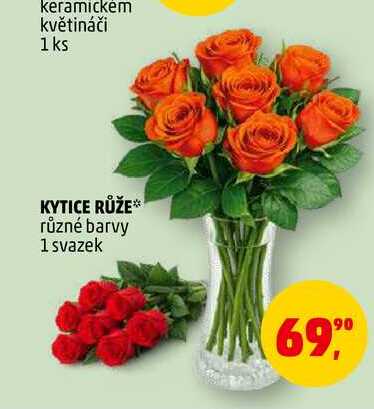 KYTICE RŮŽE, 1 svazek