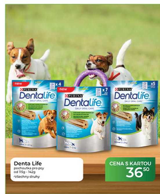 Denta Life pochoutka pro psy od 115g-142 g