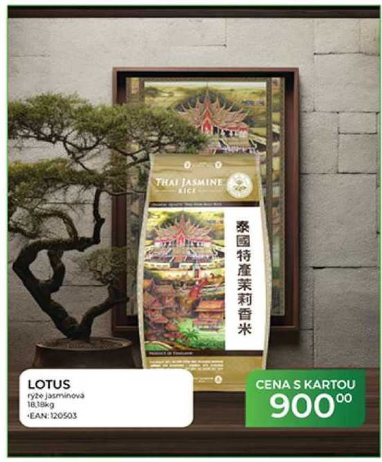 LOTUS rýže jasminová 18.18kg 
