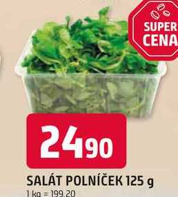 SALÁT POLNÍČEK 125 g 