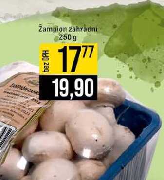 Žampion zahradní 250 g