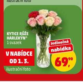 KYTICE RŮŽE HARLEKỲN, 1 svazek