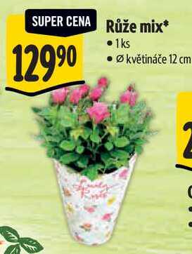 Růže mix