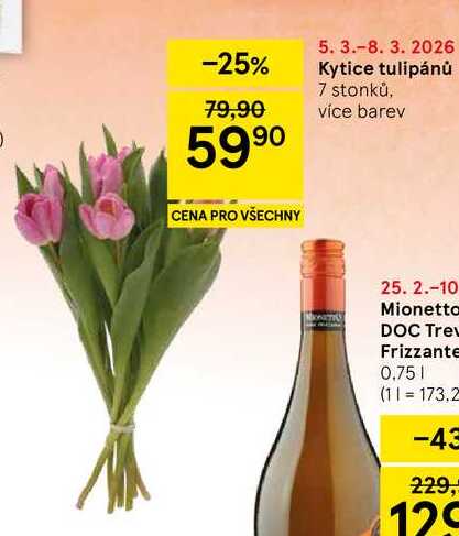 Kytice tulipánů, 7 stonků