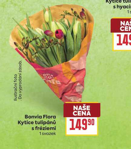 Bonvia Flora Kytice tulipánů s fréziemi 1 svazek 