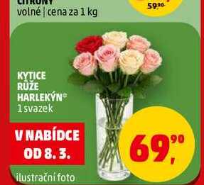 KYTICE RŮŽE HARLEKÝN, 1 svazek 