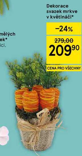 Dekorace svazek mrkve v květináči