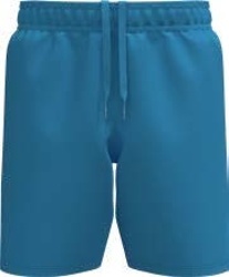 Pánské tréninkové kraťasy »Woven Wordmark«