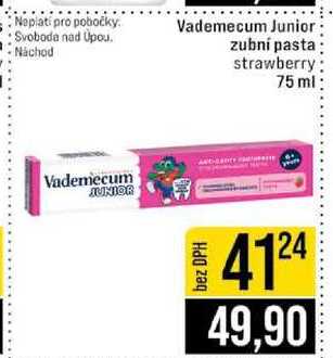 Vademecum Junior zubní pasta strawberry 75 ml