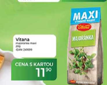 Vitana majoránka