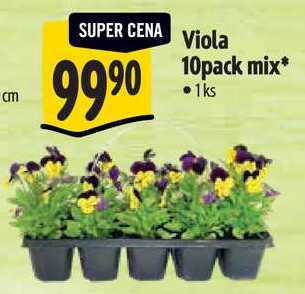 Viola 10pack mix