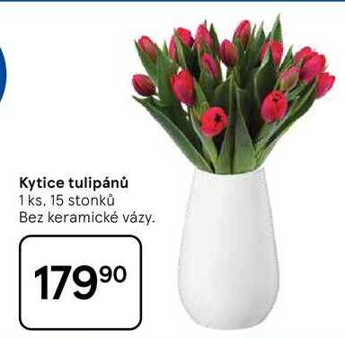 Kytice tulipánů, 1 ks, 15 stonků Bez keramické vázy. 