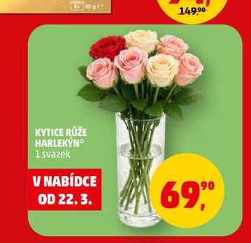 KYTICE RŮŽE HARLEKÝN, 1 svazek 