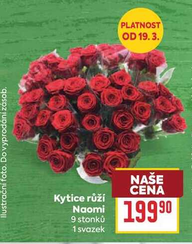Kytice růží Naomi 9 stonků 1 svazek