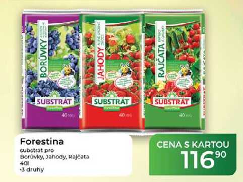 Forestina substrát pro Borůvky, Jahody, Rajčata