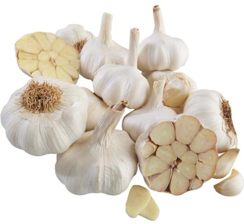 Česnek, 1 kg