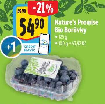 Nature's Promise Bio Borůvky, 125 g
