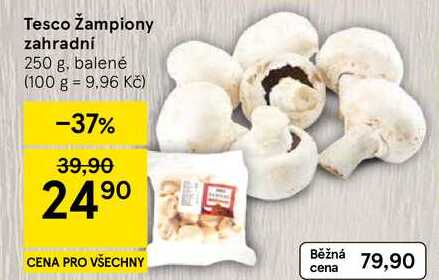 Tesco Žampiony zahradní, 250 g, balené 