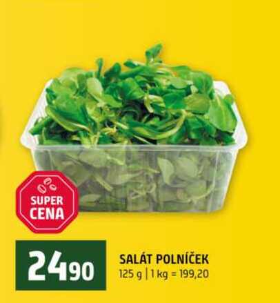 SALÁT POLNÍČEK 125 g